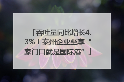 吞吐量同比增长4.3%！泰州企业坐享“家门口就是国际港”