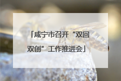 咸宁市召开“双回双创”工作推进会