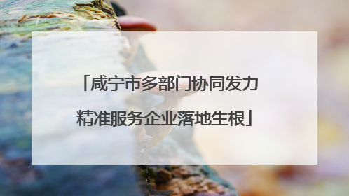 咸宁市多部门协同发力 精准服务企业落地生根