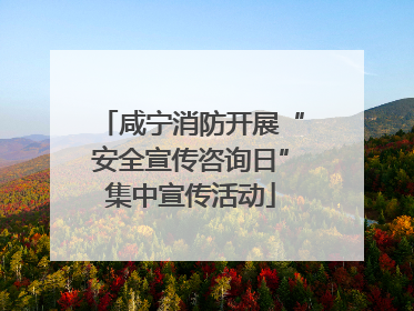 咸宁消防开展“安全宣传咨询日”集中宣传活动
