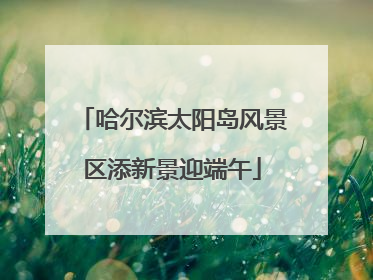 哈尔滨太阳岛风景区添新景迎端午