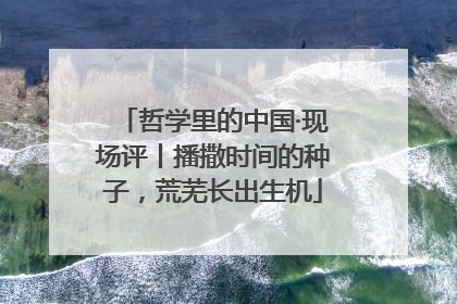 哲学里的中国·现场评丨播撒时间的种子，荒芜长出生机