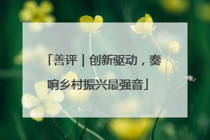 善评｜创新驱动，奏响乡村振兴最强音