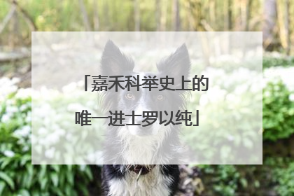 嘉禾科举史上的唯一进士罗以纯