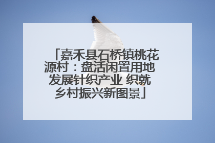 嘉禾县石桥镇桃花源村：盘活闲置用地发展针织产业 织就乡村振兴新图景