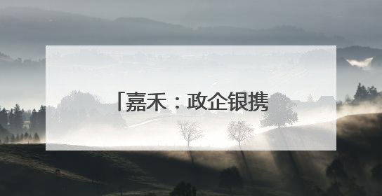 嘉禾：政企银携手赋能企业发展