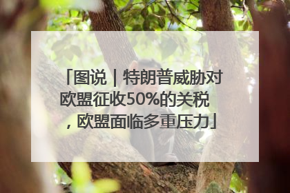图说｜特朗普威胁对欧盟征收50%的关税，欧盟面临多重压力