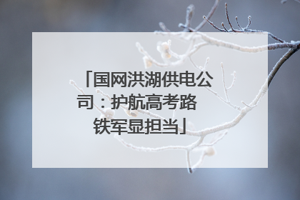 国网洪湖供电公司：护航高考路 铁军显担当