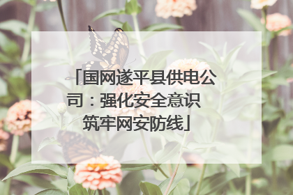 国网遂平县供电公司：强化安全意识 筑牢网安防线