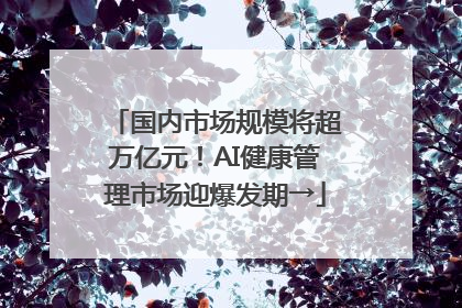 国内市场规模将超万亿元！AI健康管理市场迎爆发期→
