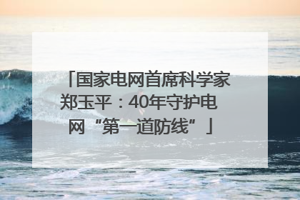 国家电网首席科学家郑玉平：40年守护电网“第一道防线”