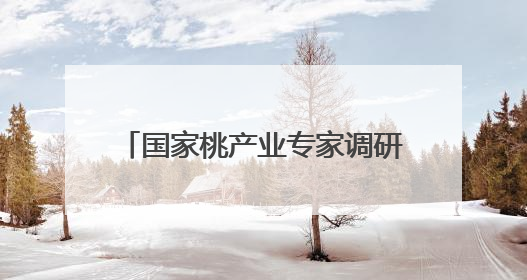 国家桃产业专家调研青岛农科院 共商产业升级与技术创新