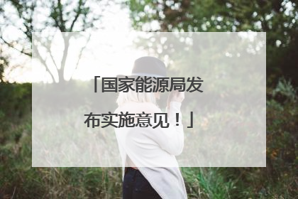 国家能源局发布实施意见！