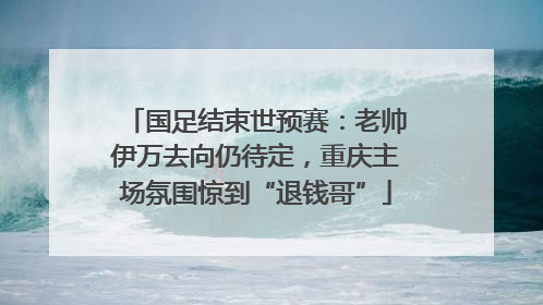 国足结束世预赛：老帅伊万去向仍待定，重庆主场氛围惊到“退钱哥”