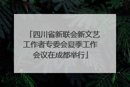 四川省新联会新文艺工作者专委会夏季工作会议在成都举行