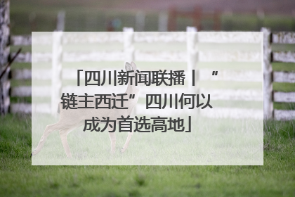 四川新闻联播丨“链主西迁”四川何以成为首选高地