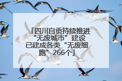 四川自贡持续推进“无废城市”建设 已建成各类“无废细胞”266个