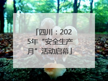 四川：2025年“安全生产月”活动启幕