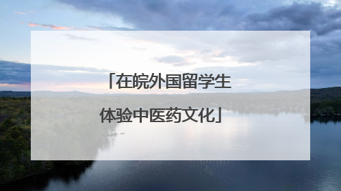 在皖外国留学生体验中医药文化