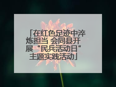 在红色足迹中淬炼担当 会同县开展“民兵活动日”主题实践活动