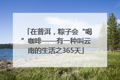在普洱，粽子会“喝”咖啡——有一种叫云南的生活之365天