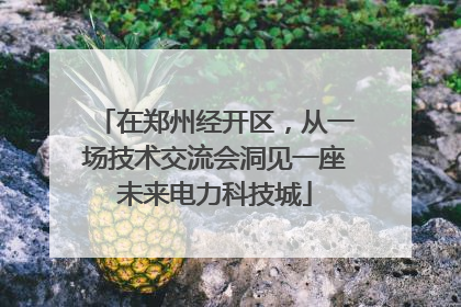 在郑州经开区，从一场技术交流会洞见一座未来电力科技城