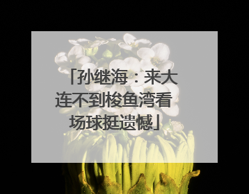 孙继海：来大连不到梭鱼湾看场球挺遗憾