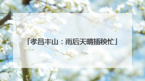 孝昌丰山：雨后天晴插秧忙