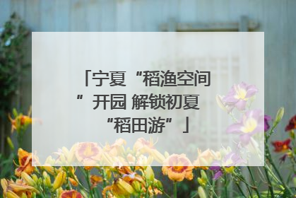 宁夏“稻渔空间”开园 解锁初夏“稻田游”