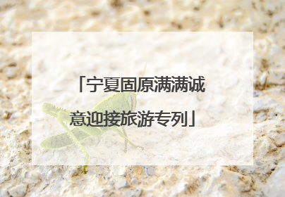 宁夏固原满满诚意迎接旅游专列