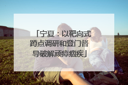 宁夏：以靶向式蹲点调研和登门督导破解顽瘴痼疾