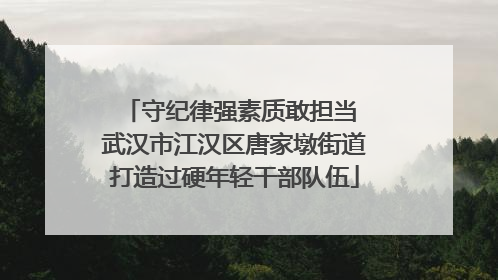 守纪律强素质敢担当 武汉市江汉区唐家墩街道打造过硬年轻干部队伍