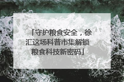 守护粮食安全，徐汇这场科普市集解锁粮食科技新密码