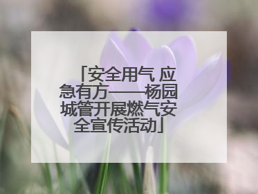 安全用气 应急有方——杨园城管开展燃气安全宣传活动