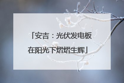 安吉：光伏发电板在阳光下熠熠生辉
