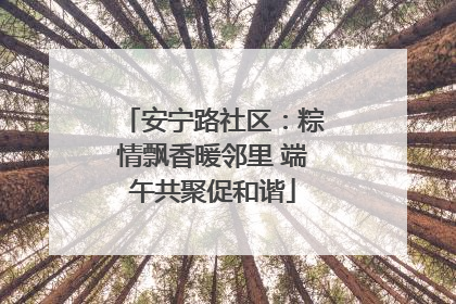 安宁路社区：粽情飘香暖邻里 端午共聚促和谐