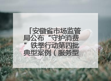 安徽省市场监管局公布“守护消费”铁拳行动第四批典型案例（服务型执法专刊）