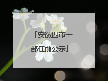 安徽四市干部任前公示