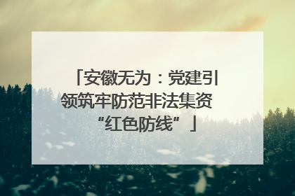 安徽无为：党建引领筑牢防范非法集资“红色防线”