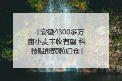 安徽4300多万亩小麦丰收有望 科技赋能颗粒归仓