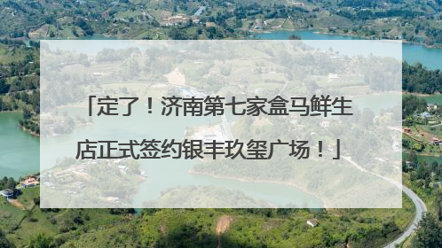 定了！济南第七家盒马鲜生店正式签约银丰玖玺广场！