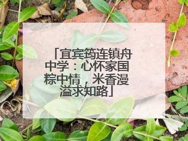 宜宾筠连镇舟中学：心怀家国粽中情，米香漫溢求知路