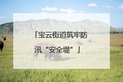 宝云街道筑牢防汛“安全堤”