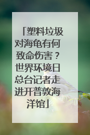 塑料垃圾对海龟有何致命伤害？世界环境日总台记者走进开普敦海洋馆