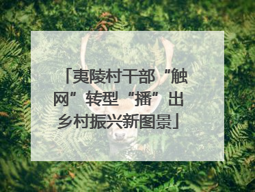 夷陵村干部“触网”转型“播”出乡村振兴新图景