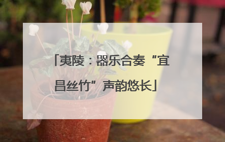 夷陵：器乐合奏“宜昌丝竹”声韵悠长
