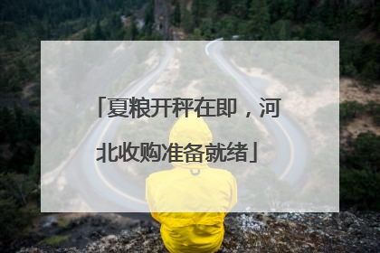 夏粮开秤在即，河北收购准备就绪