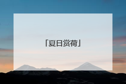 夏日赏荷