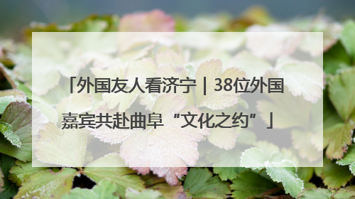 外国友人看济宁｜38位外国嘉宾共赴曲阜“文化之约”
