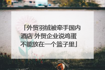 外贸羽绒被牵手国内酒店 外贸企业说鸡蛋不能放在一个篮子里